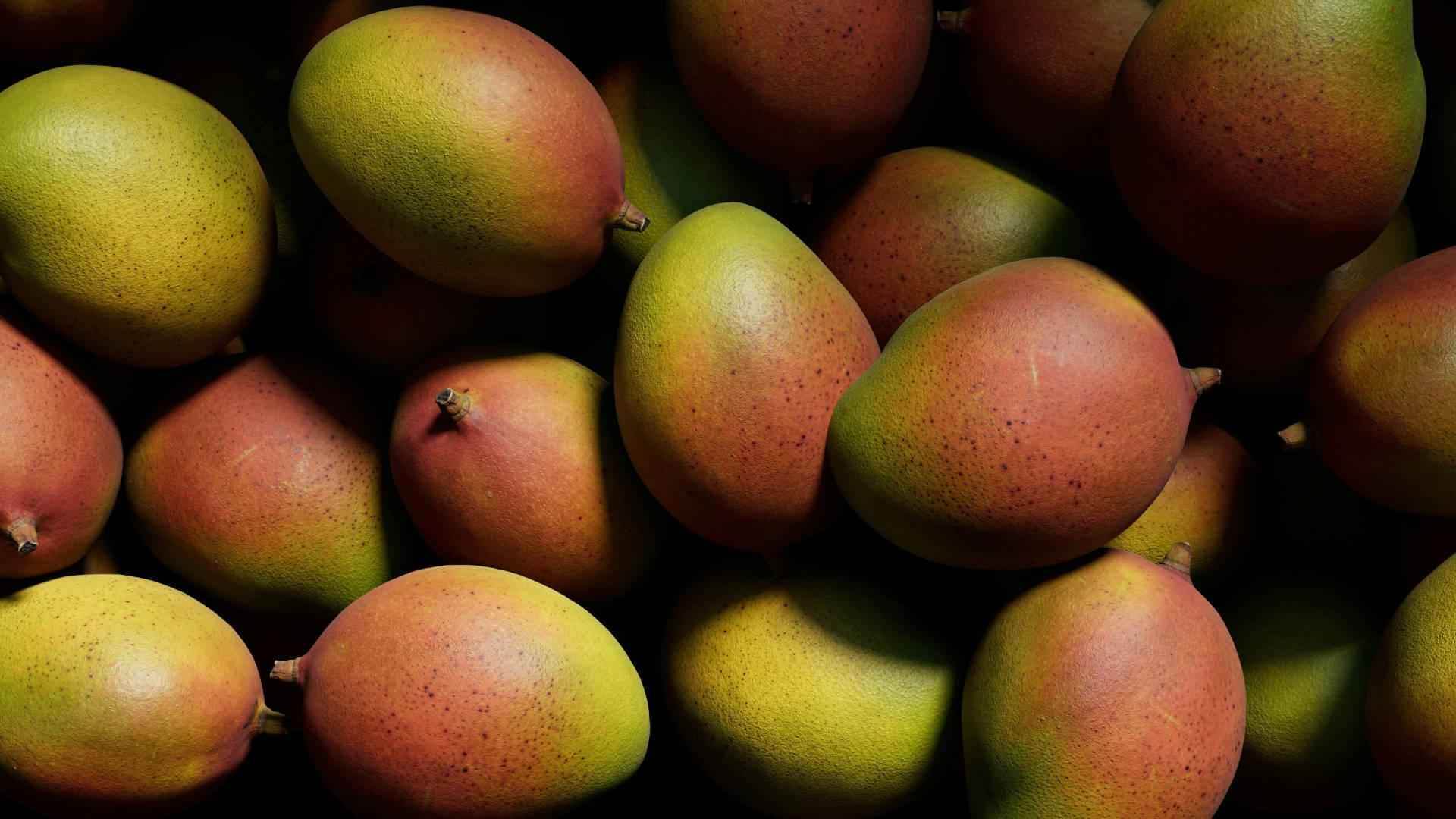 Mango Butter - NamoMonk