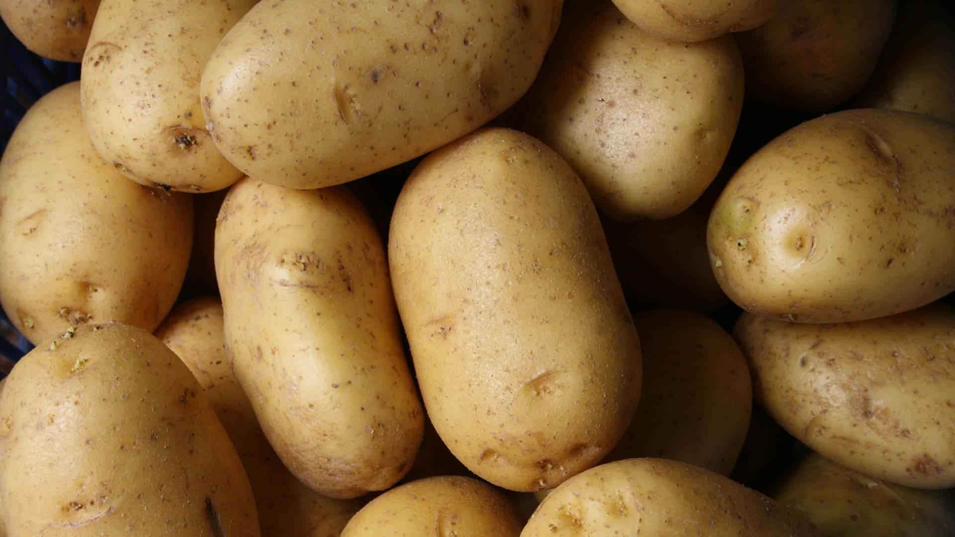 Potato - NamoMonk