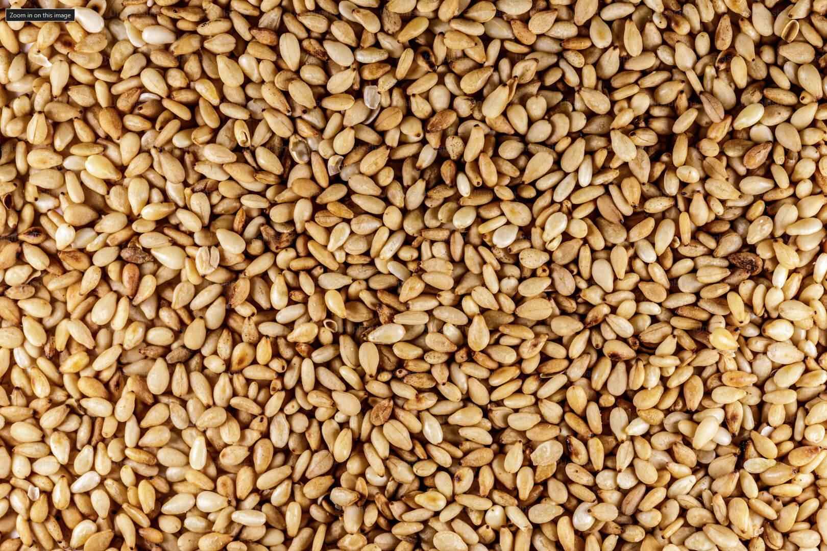 Sesame - NamoMonk