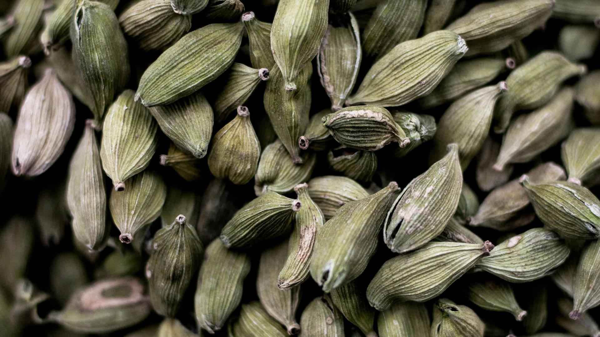 Cardamom - NamoMonk