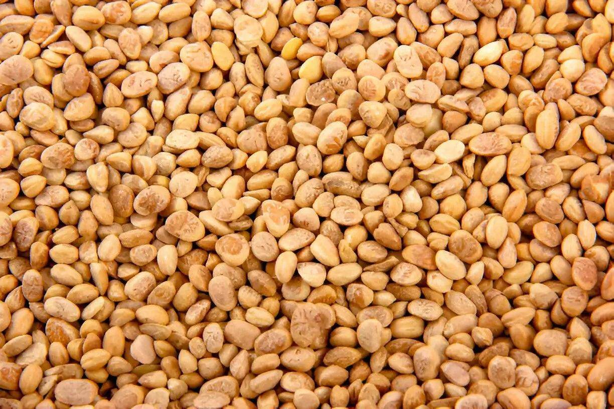 Chironjee - NamoMonk