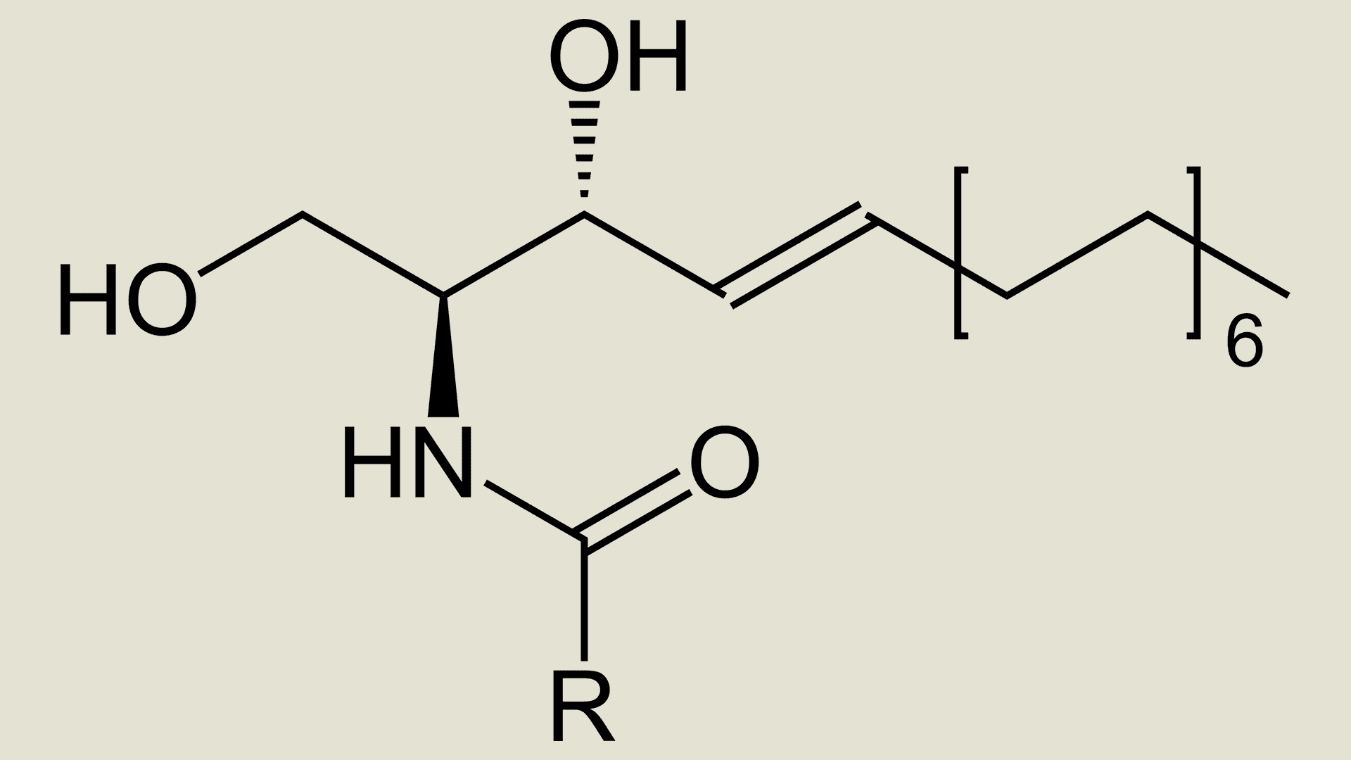 Ceramides - NamoMonk