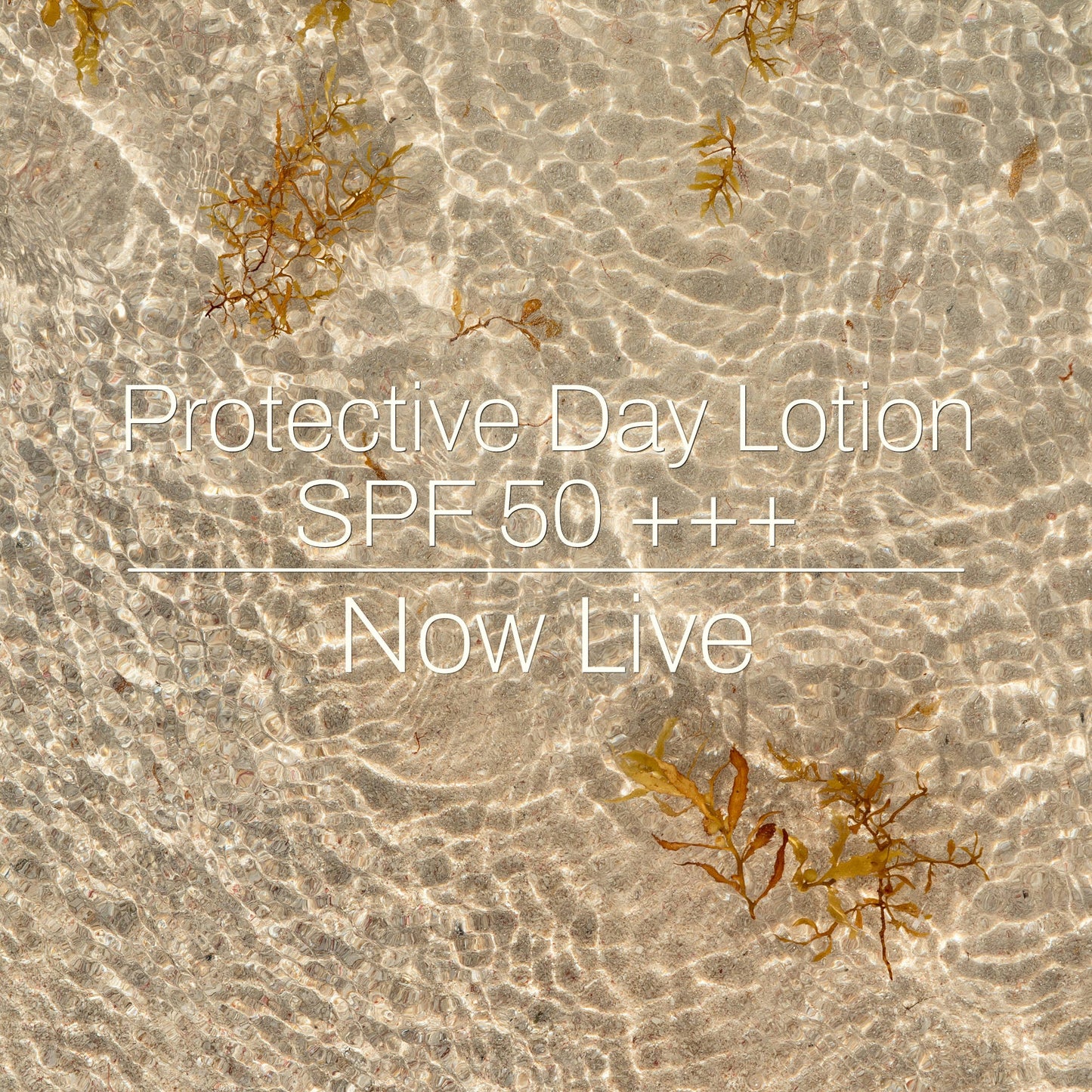Protective Day Lotion | SPF50 PA+++