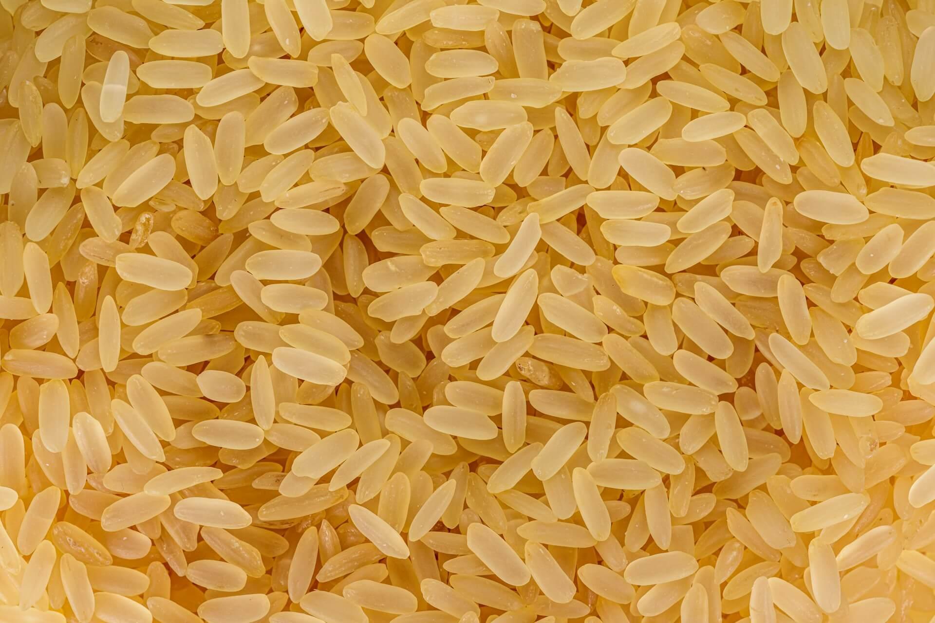 Rice - NamoMonk