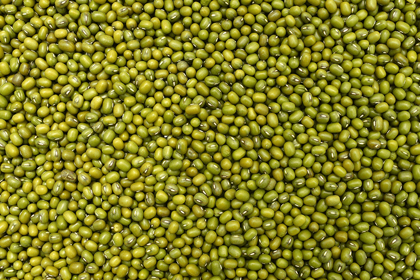 Green Gram - NamoMonk