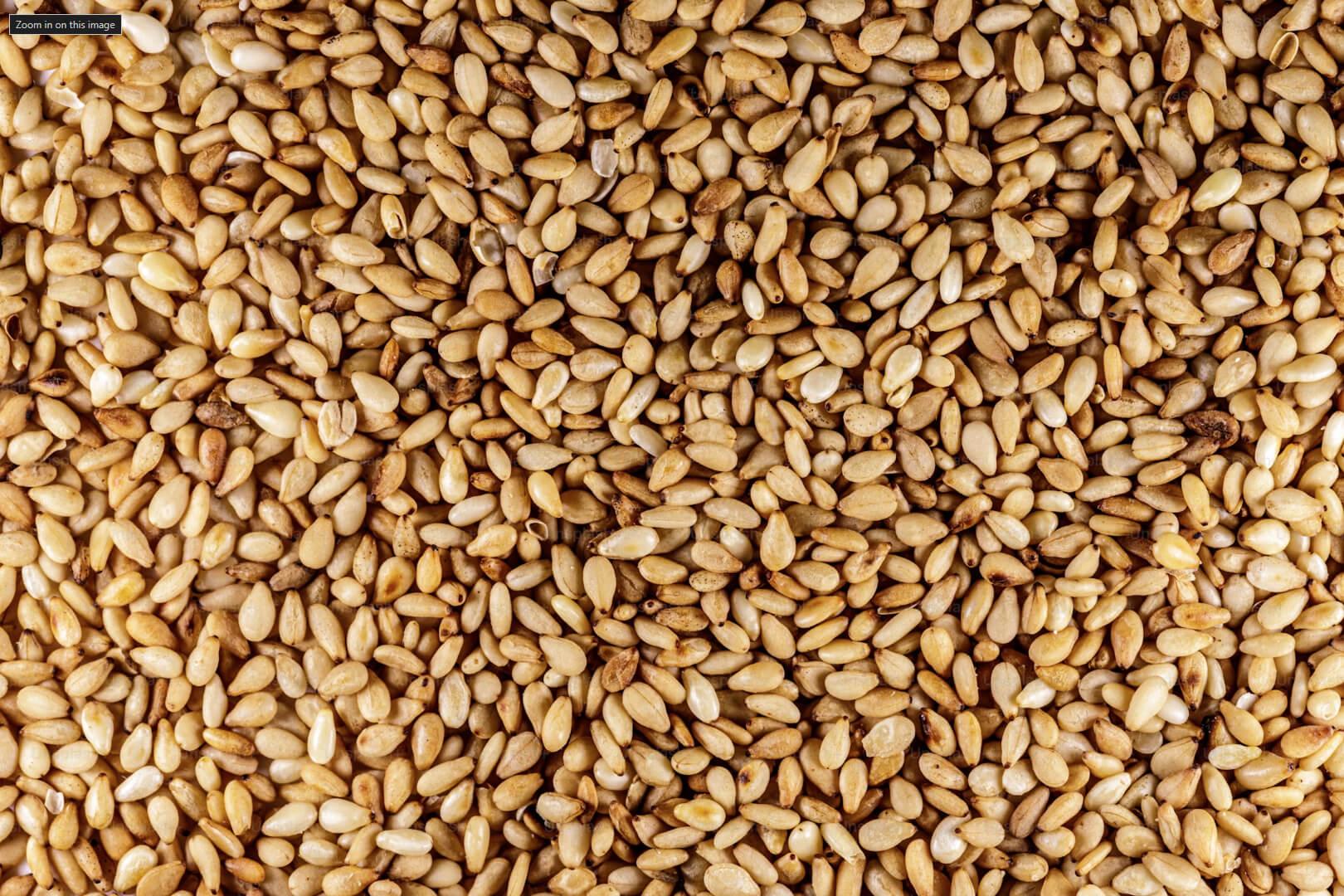 Sesame - NamoMonk