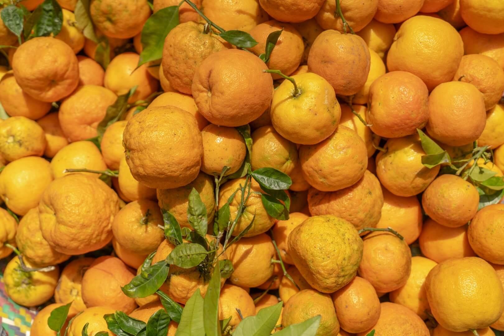 Bergamot - NamoMonk