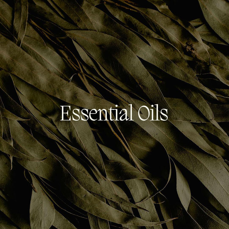 Essential Oils - NamoMonk