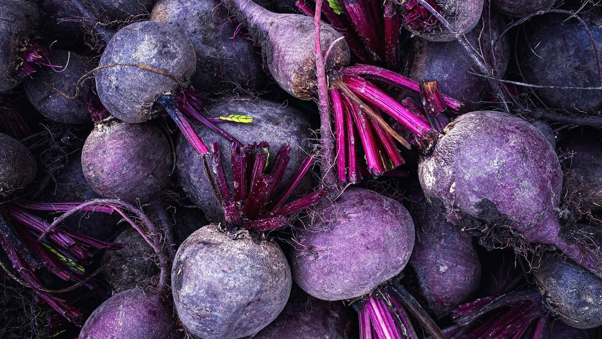 Beetroot - NamoMonk