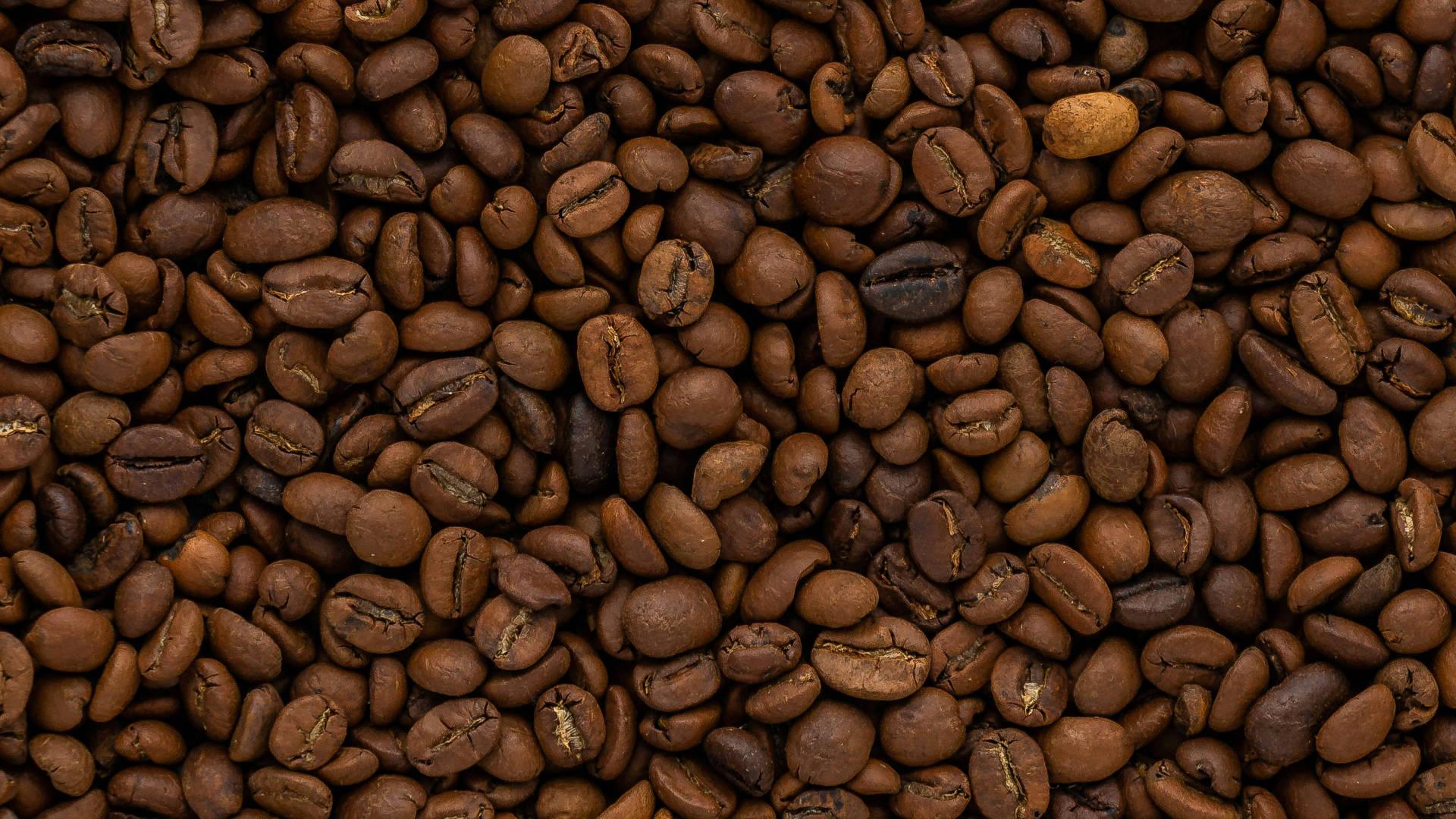 Coffee - NamoMonk
