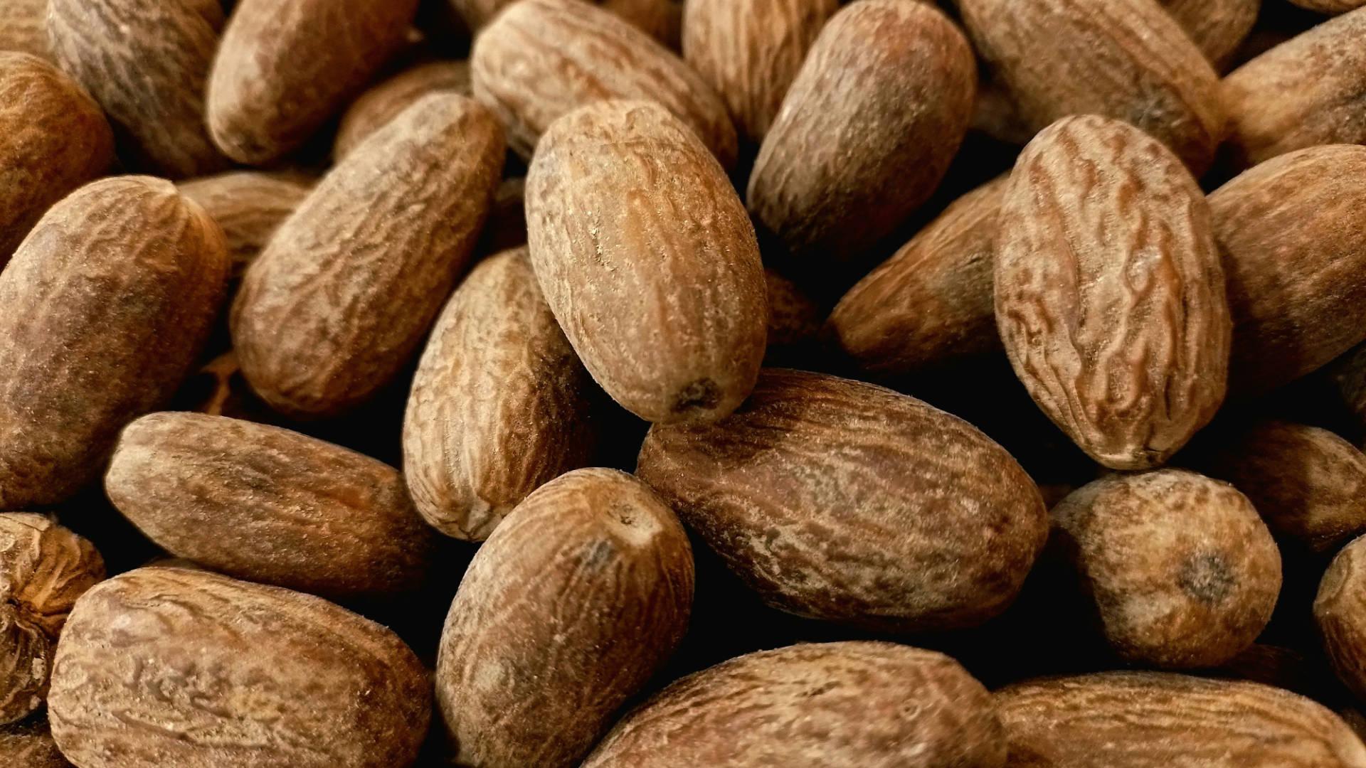 Nutmeg - NamoMonk