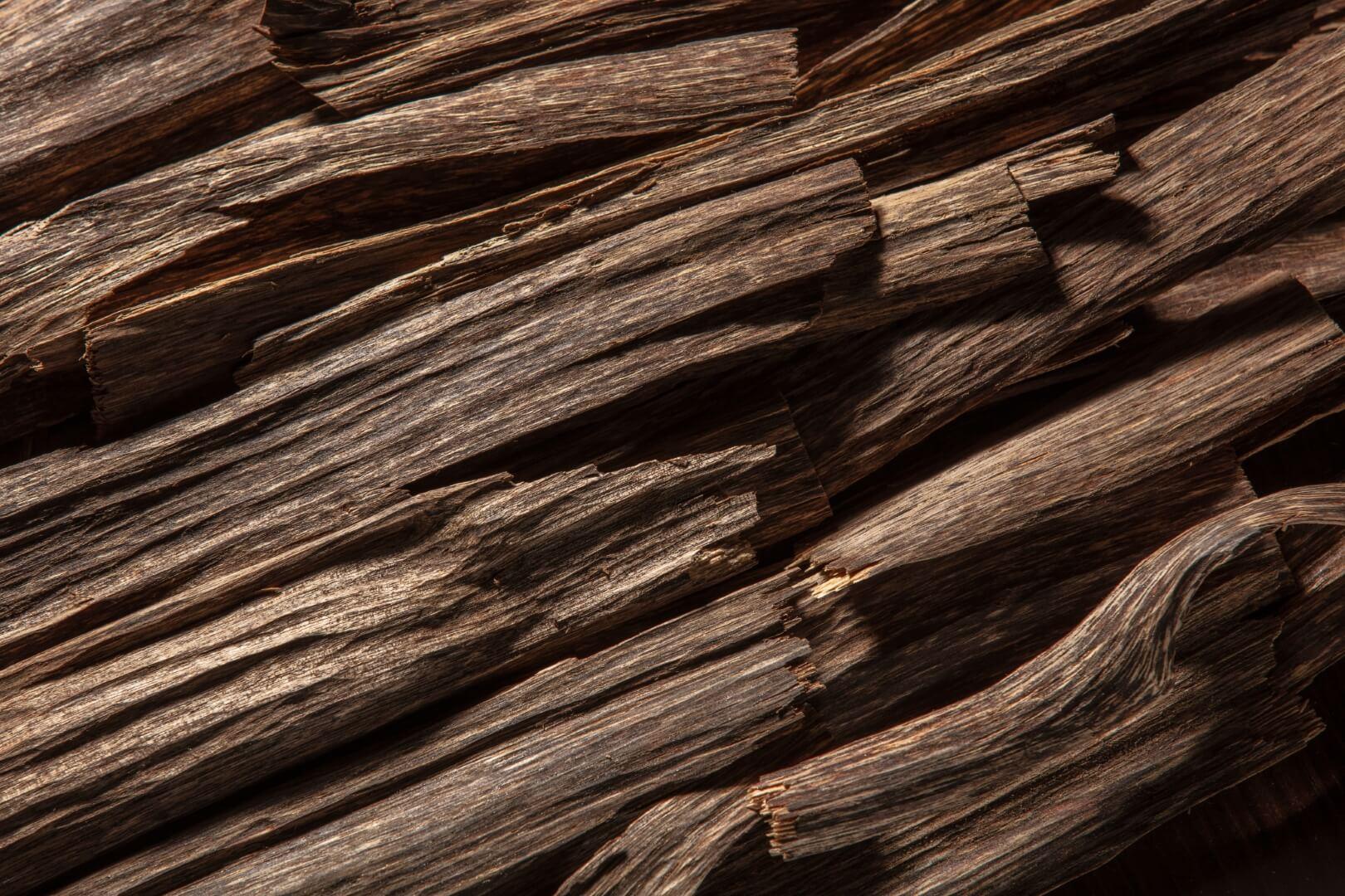 Oudh - NamoMonk