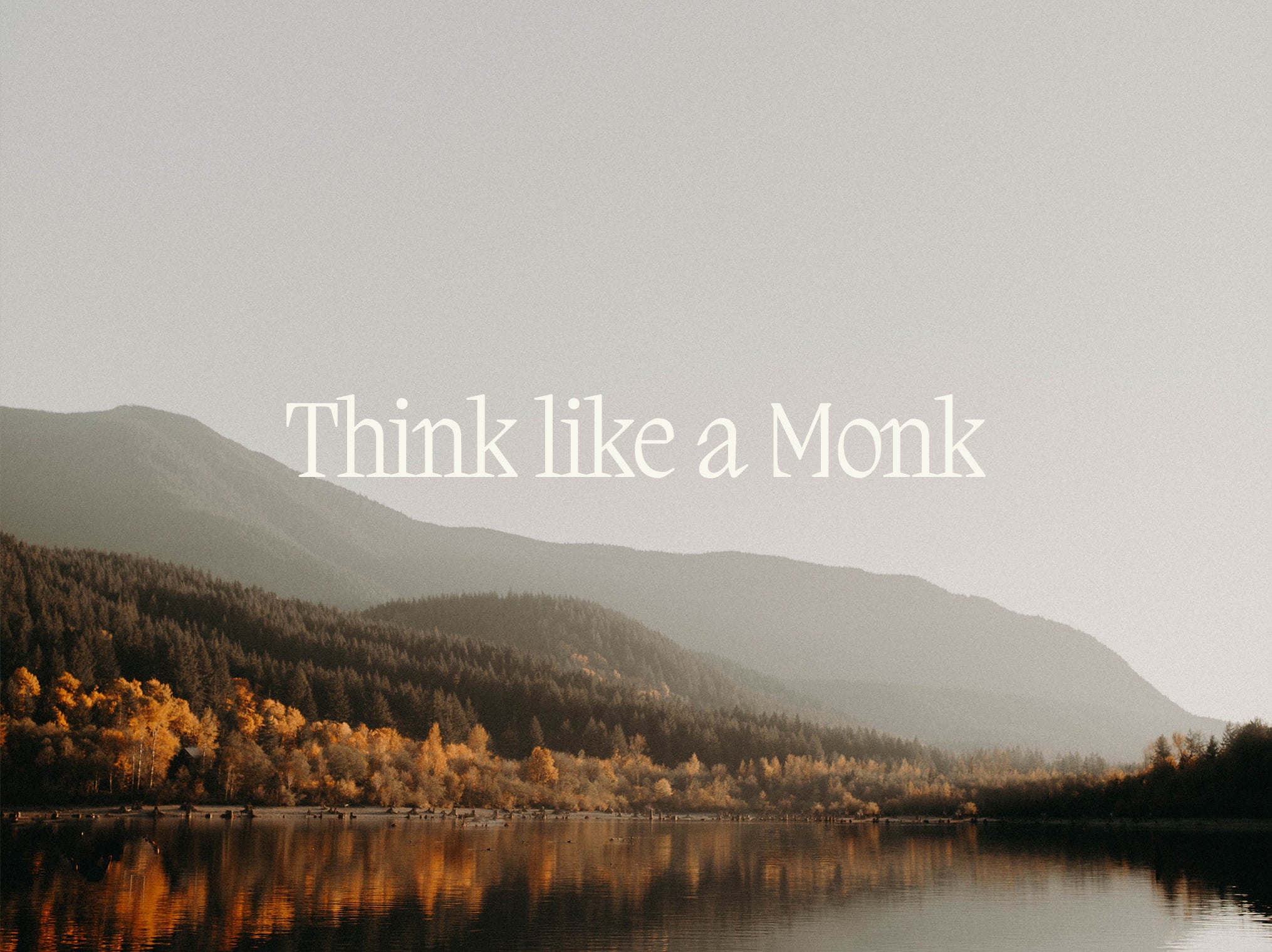Charger la vidéo : namoMonk think like a monk